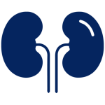 Nephrology
